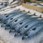 Pesce azzurro al mercato: ecco cosa succede al nostro corpo